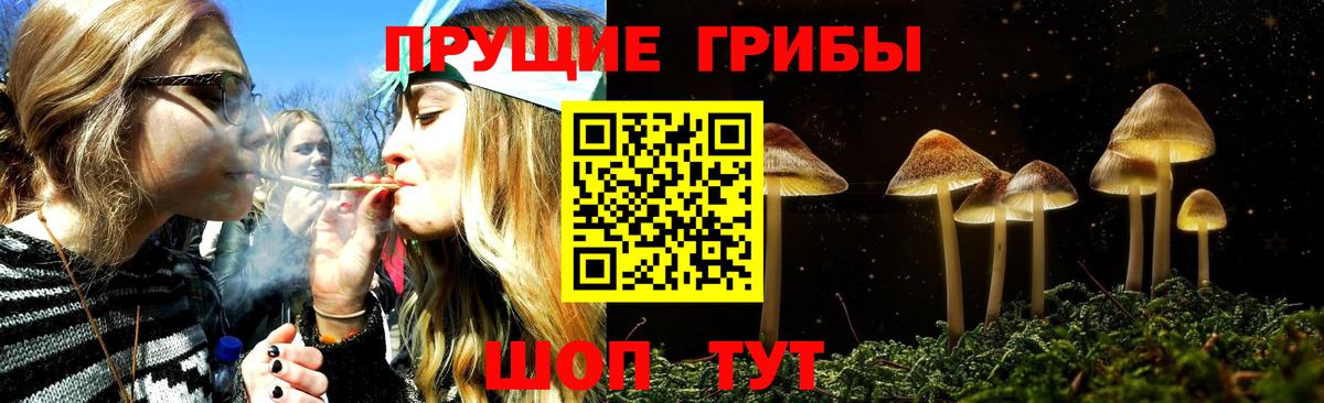 Ирбит  Псилоцибиновые грибы прущие грибы  Вход с VPN 