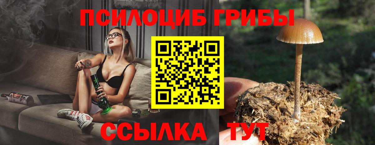 Галлюциногенные грибы MAGIC MUSHROOMS Ирбит